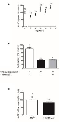 Case Report and Supporting Documentation: Acute Kidney Injury Manifested as Oliguria Is Reduced by Intravenous Magnesium Before Cisplatin